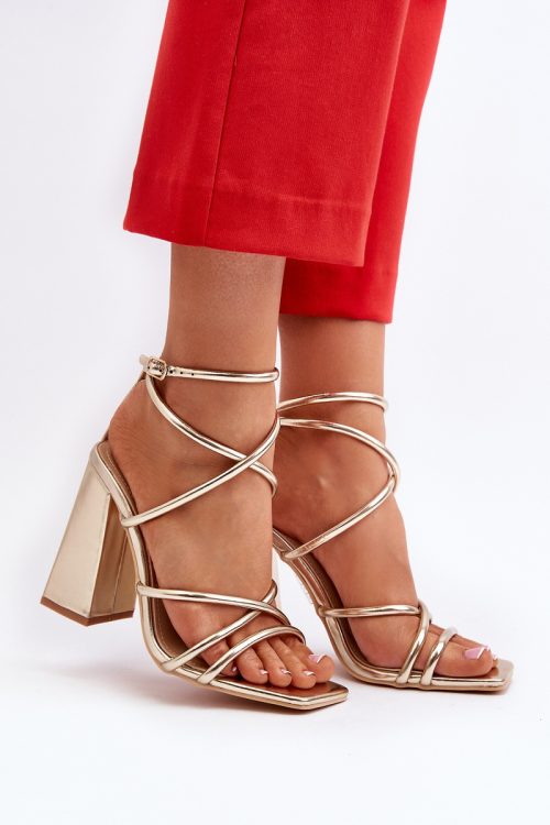 1020434 Heel sandals model 193938 Step in style