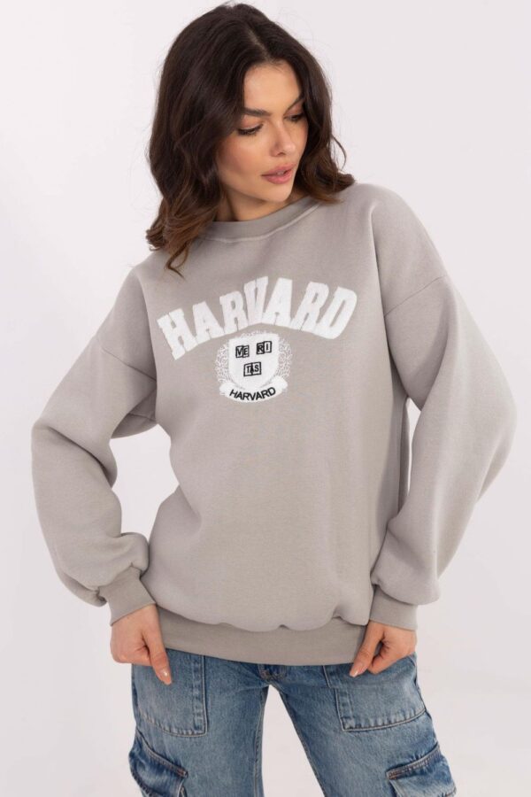 Sweatshirt model 206376 Factory Price