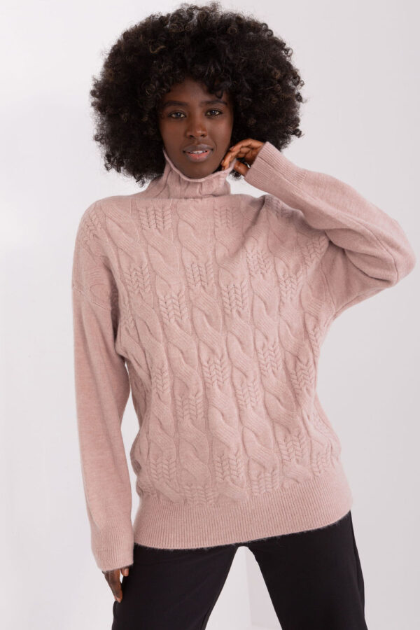 Turtleneck model 208311 AT