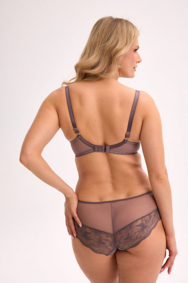 Semi-soft model 220484 Gaia