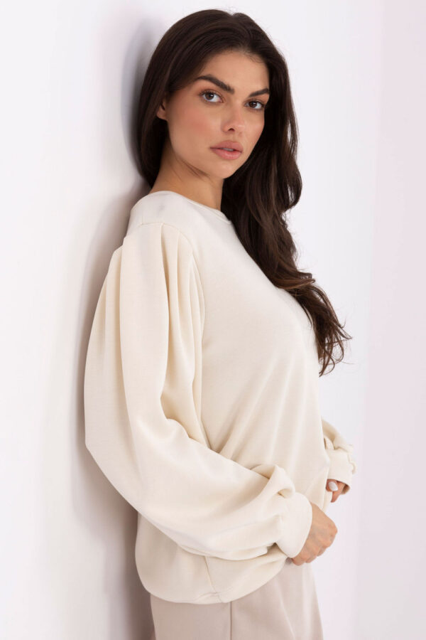 Sweatshirt model 221422 Factory Price