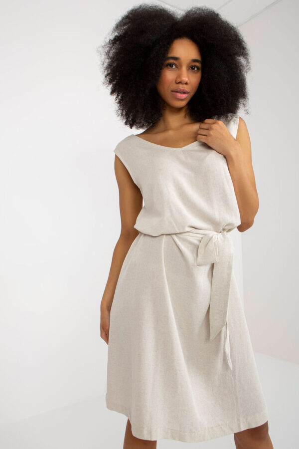 973163 Daydress model 177907 Rue Paris